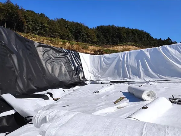 Landfill seepage prevention works